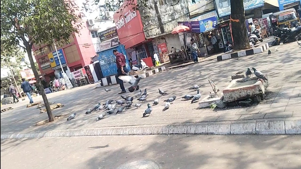 Aaji hela voji saundarpada re 🐓🍗🤪bahut maja masti hela 💯🤟