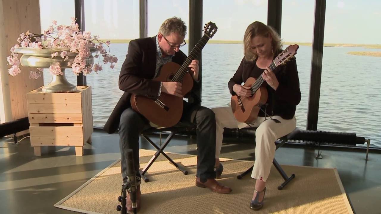 Scarlatti K209: Z.o.o. guitar duo in 'Gitaarsalon de Oostvaarders'