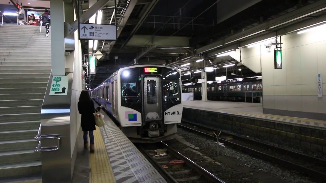 仙石東北ライン（東北本線） 仙台駅のHB-E210系　Hybrid diesel multiple unit (DMU), Senseki-Tōhoku Line　(2016.3)