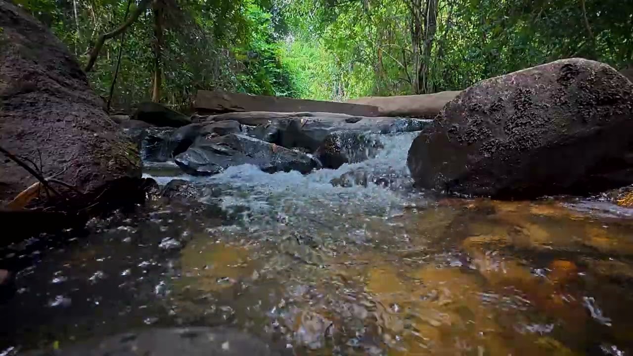 Soft Piano Music and Flowing Stream for Relaxation