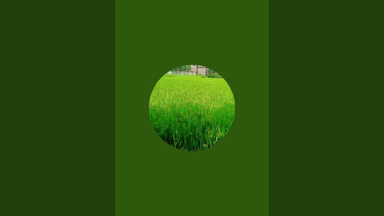 শুভদুপর