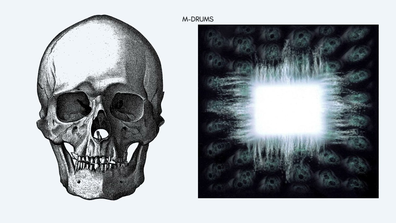 TOOL – Eulogy [ISOLATED DRUMS] AENIMA
