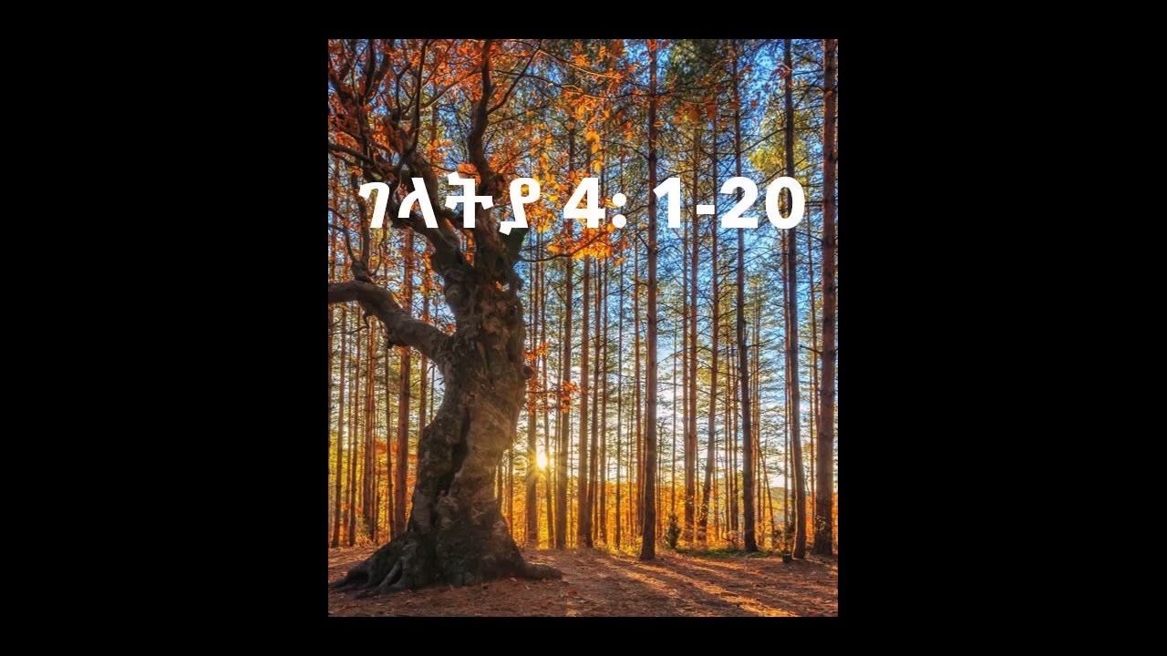 ገላትያ 4: 1-20