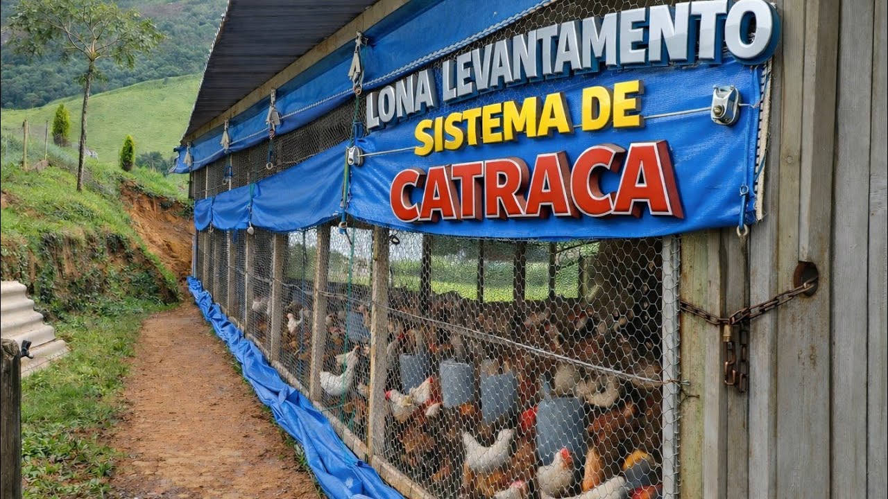 Como Instalar Lona com Catraca no Galinheiro Passo a Passo