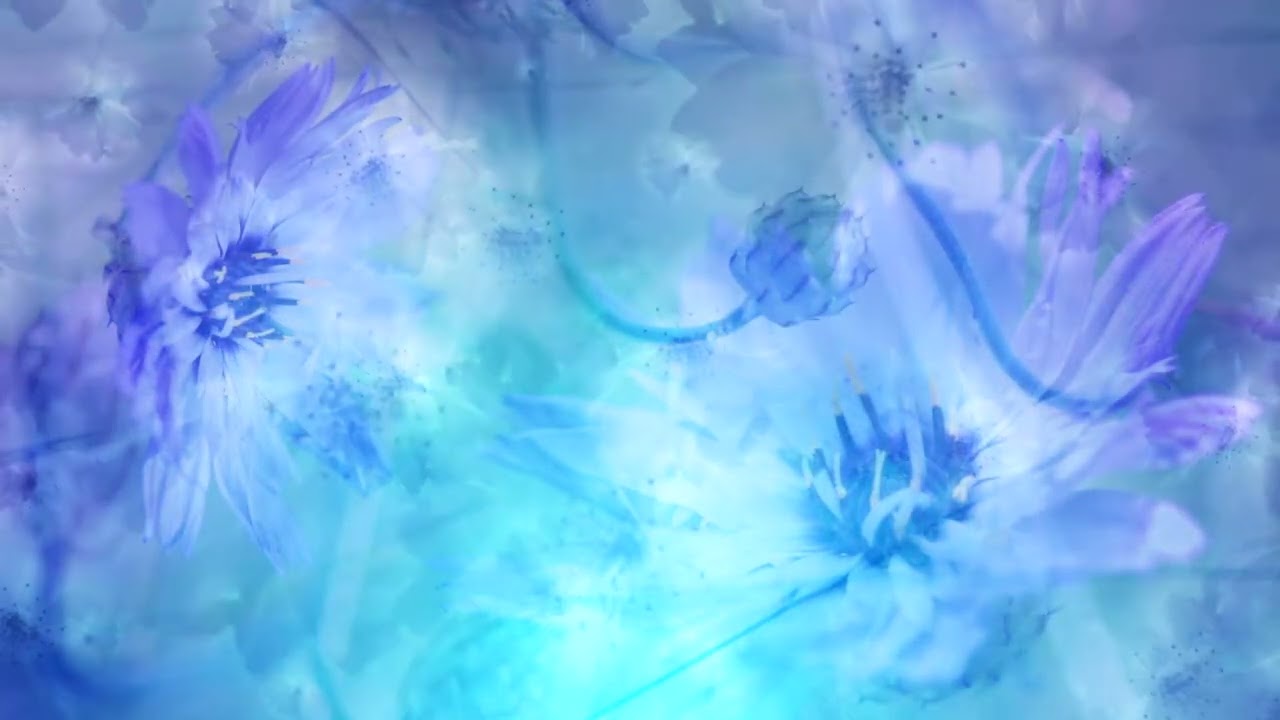 Beautiful Blue Flower Animated Motion Free Background Video Clip | Various Background Clips