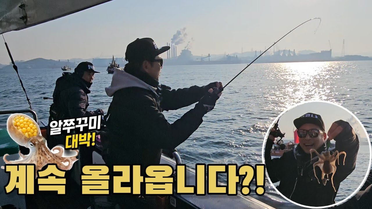 이 손맛 뭐죠? 한자리에서 봄쭈꾸미 줄줄이 터졌습니다 / 악바리75에기 이벤트