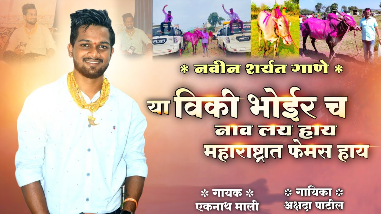 Vicky Bhoir Cha Nav Maharashtrat Femous Hay | विकी भोईर च नाव लय हाय | Maharashtra Bailgada Sharyat