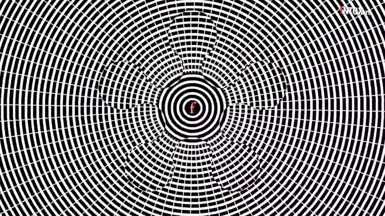 Illusion d'optique - Tout bouge !