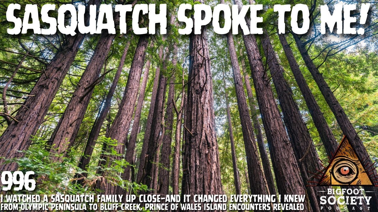 Logger Encounters Sasquatch and Realizes They Are Intelligent | Archives | Bigfoot Society 996