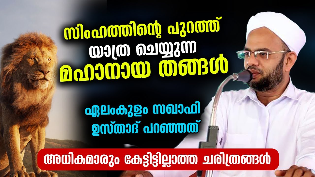 😱😱സിംഹത്തിന്റെ പുറത്ത് യാത്രചെയ്യുന്ന മഹാനായ തങ്ങൾ.. തകർപ്പൻ ചരിത്രം പറഞ്ഞ് ഉസ്താദ് Elamkulam Saqafi