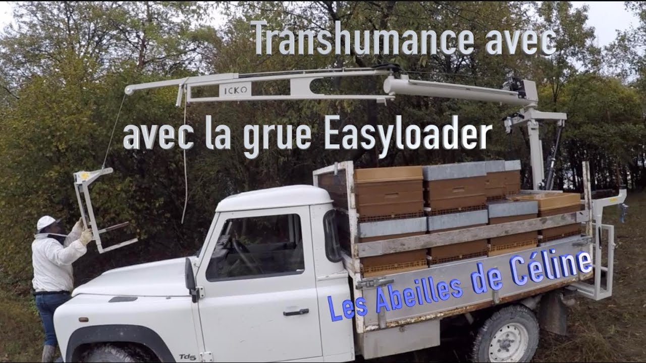 Transhumance avec la grue Easyloader