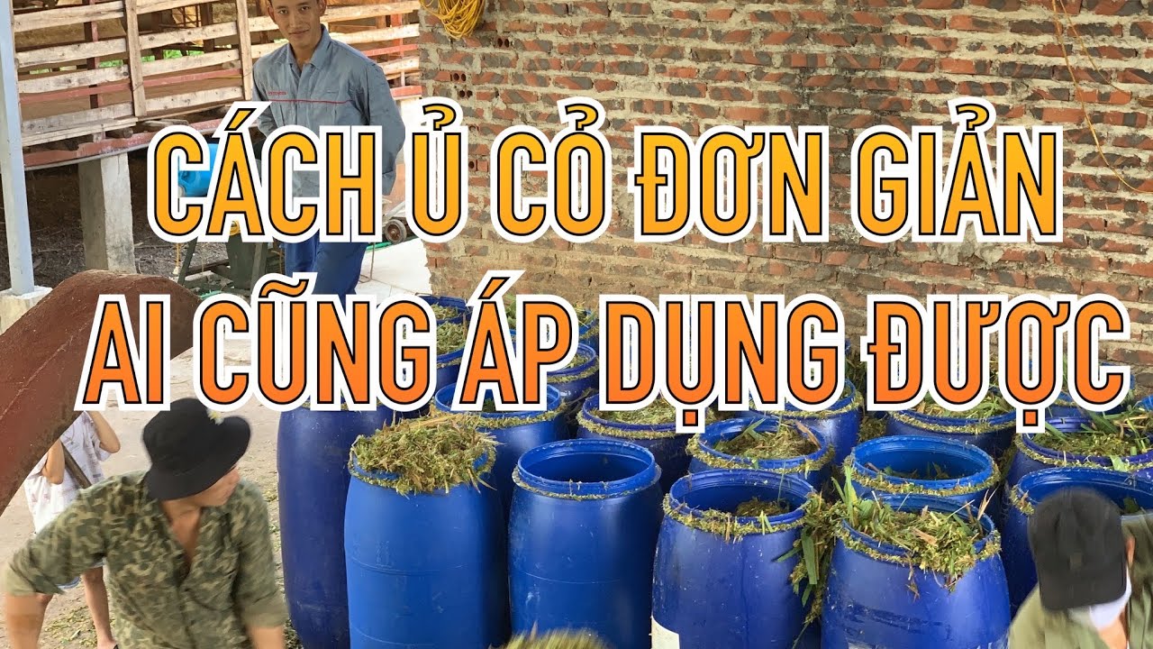 CÔNG THỨC Ủ CỎ ĐƠN GIẢN NHẤT