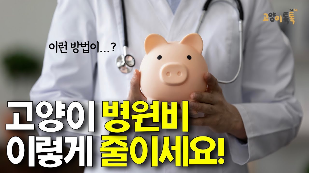 고양이 병원비 아끼는 3가지 방법!