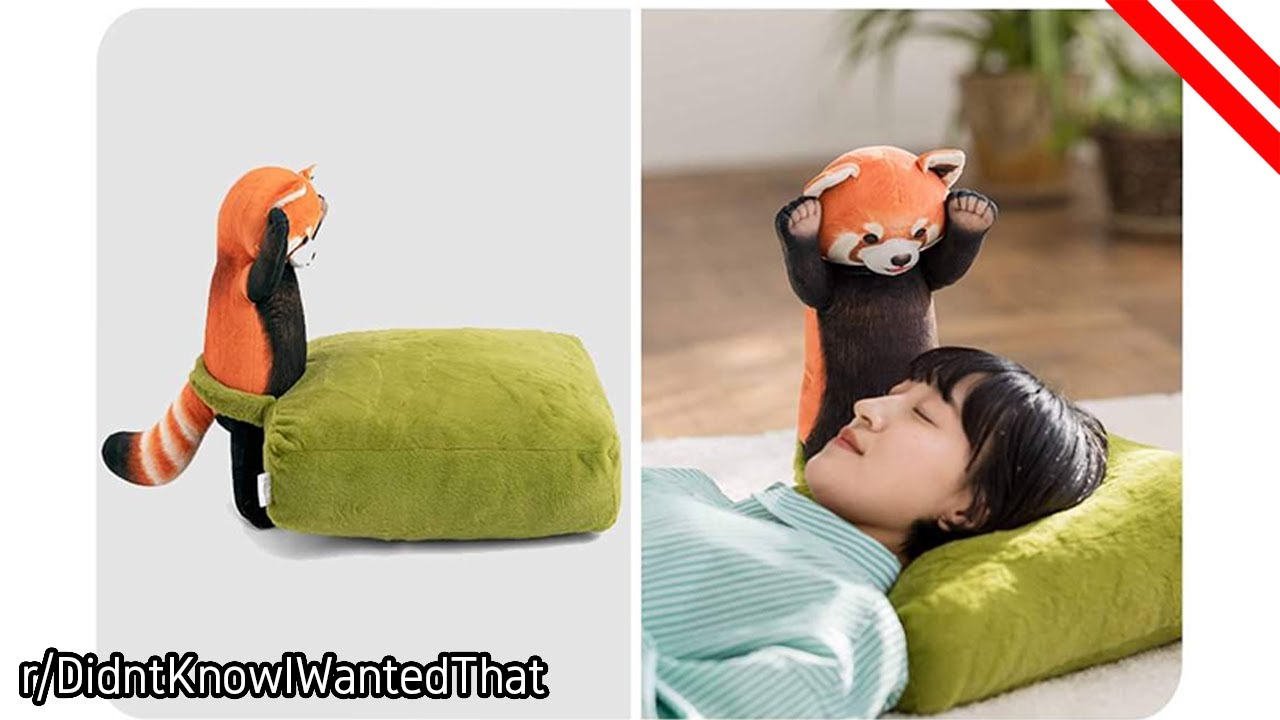 r/DidntKnowIWantedThat | You sleep. He Hunt.