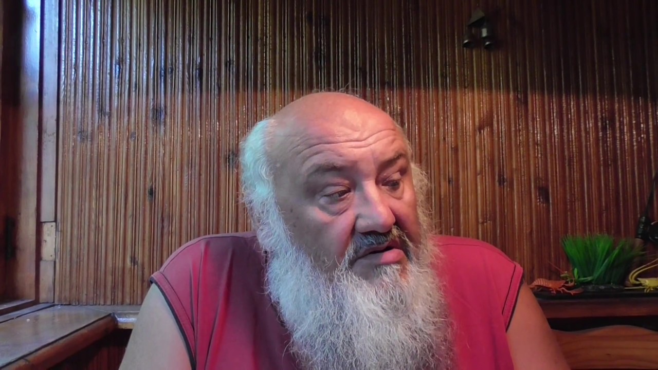 Обзор покупки 