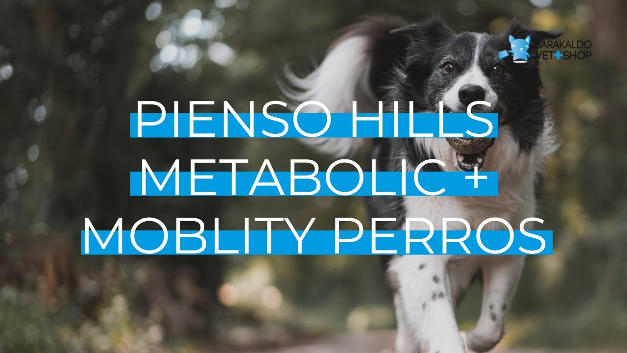 Pienso 【 HILLS METABOLIC + MOBILITY 】 para PERROS 🐶