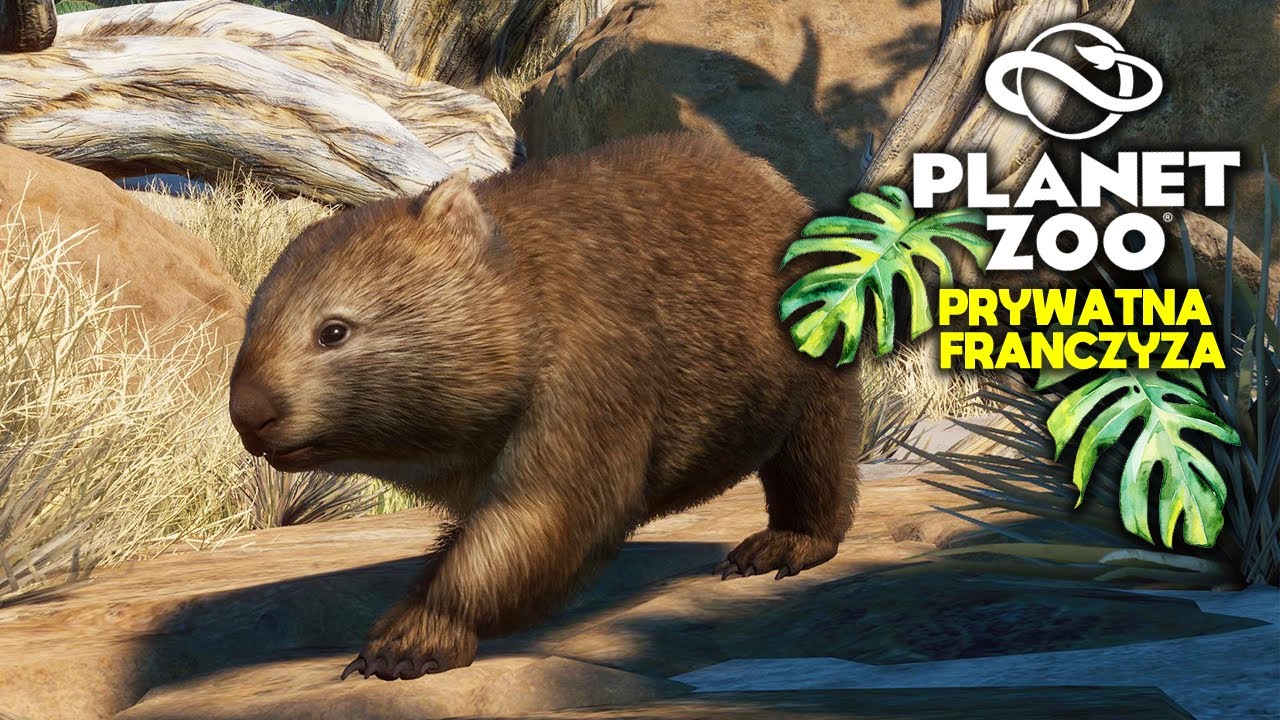 🐾 Buduję wybieg dla wombatów!💚 -  PLANET ZOO, moja franczyza
