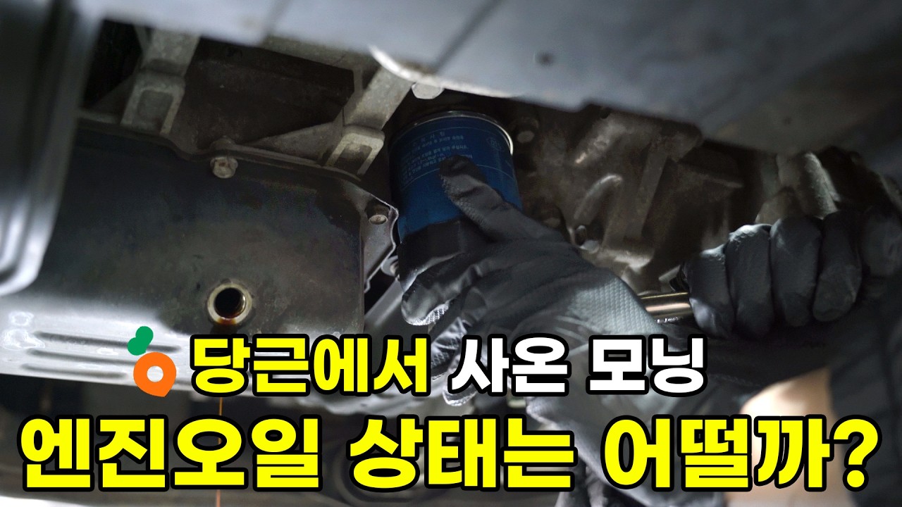 중고차 사면 오일류는 교체하는게 좋습니다
