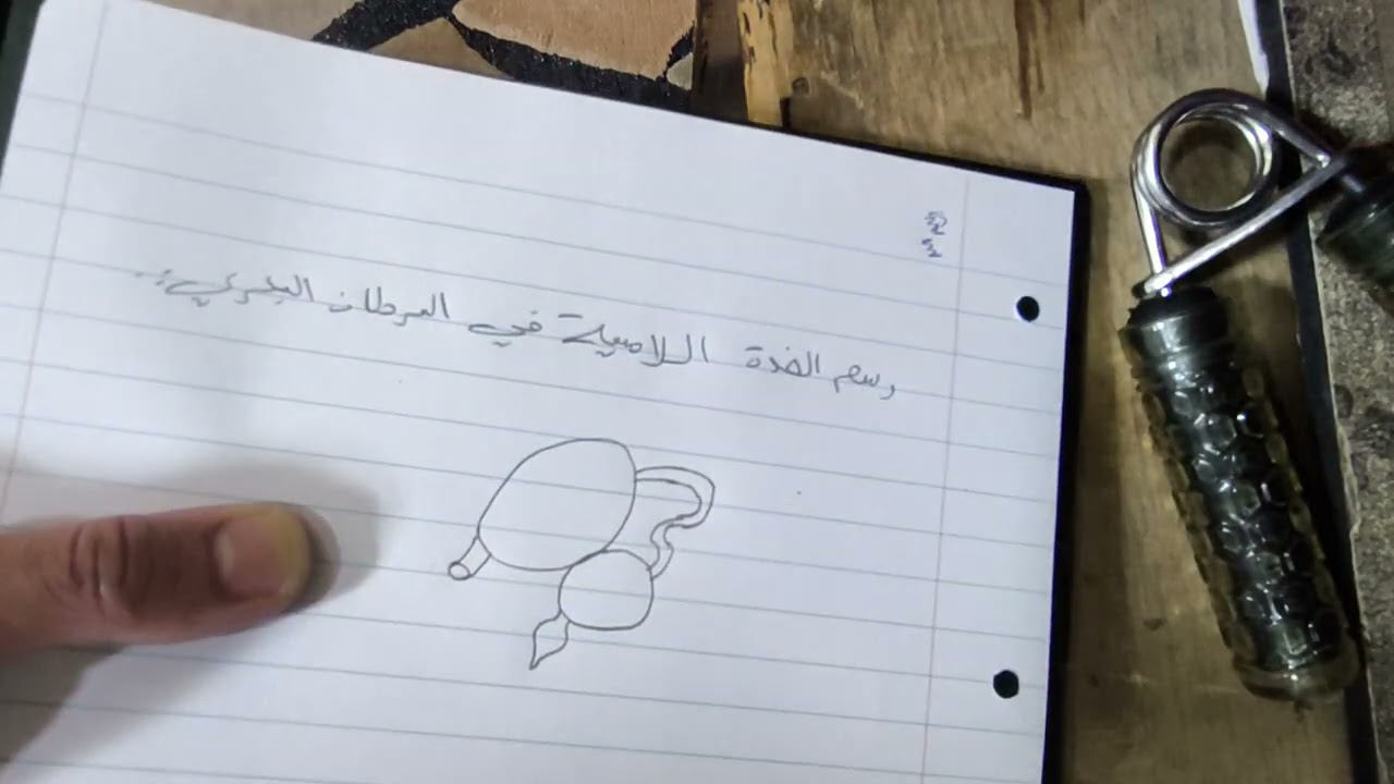 رسم الغدة اللامسيه في السرطان البحري