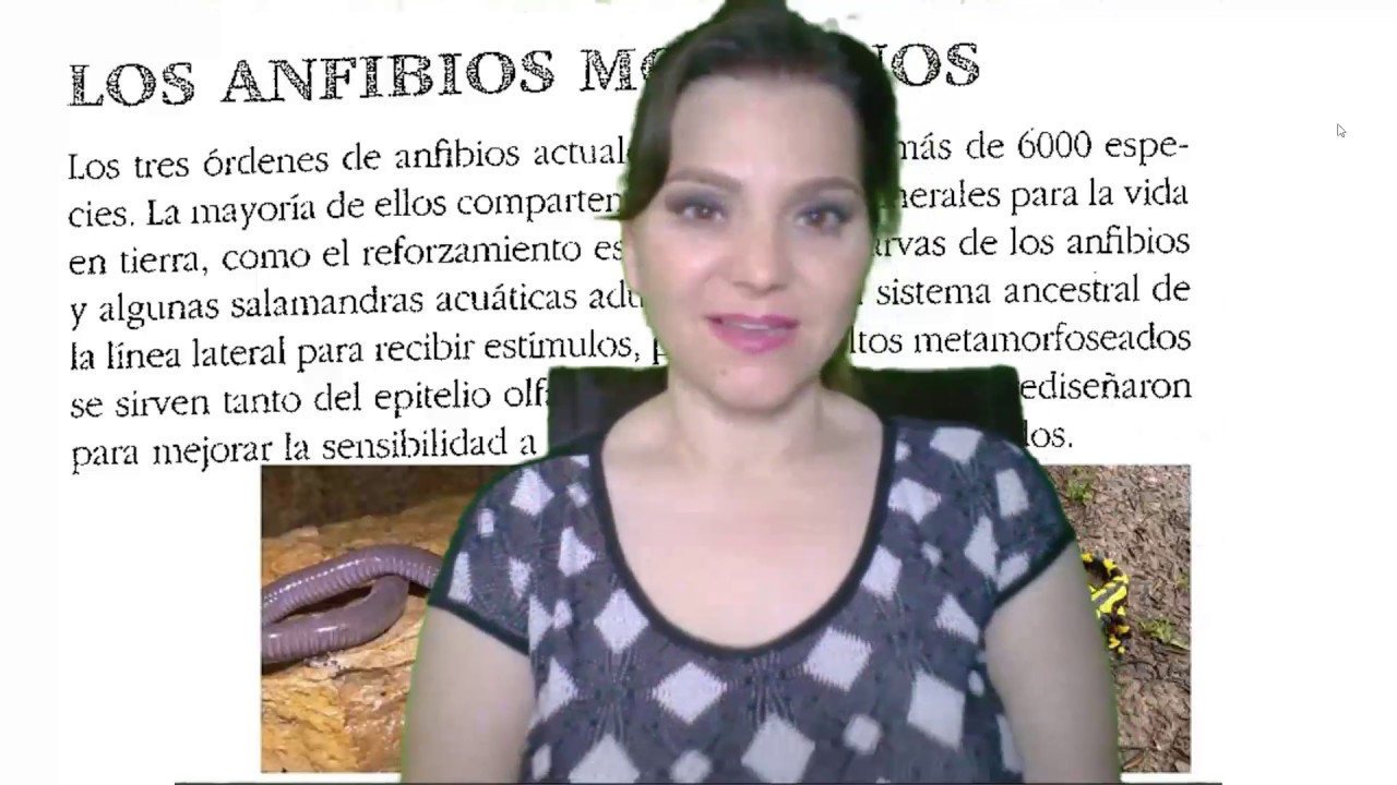 Características Generales de los Anfibios