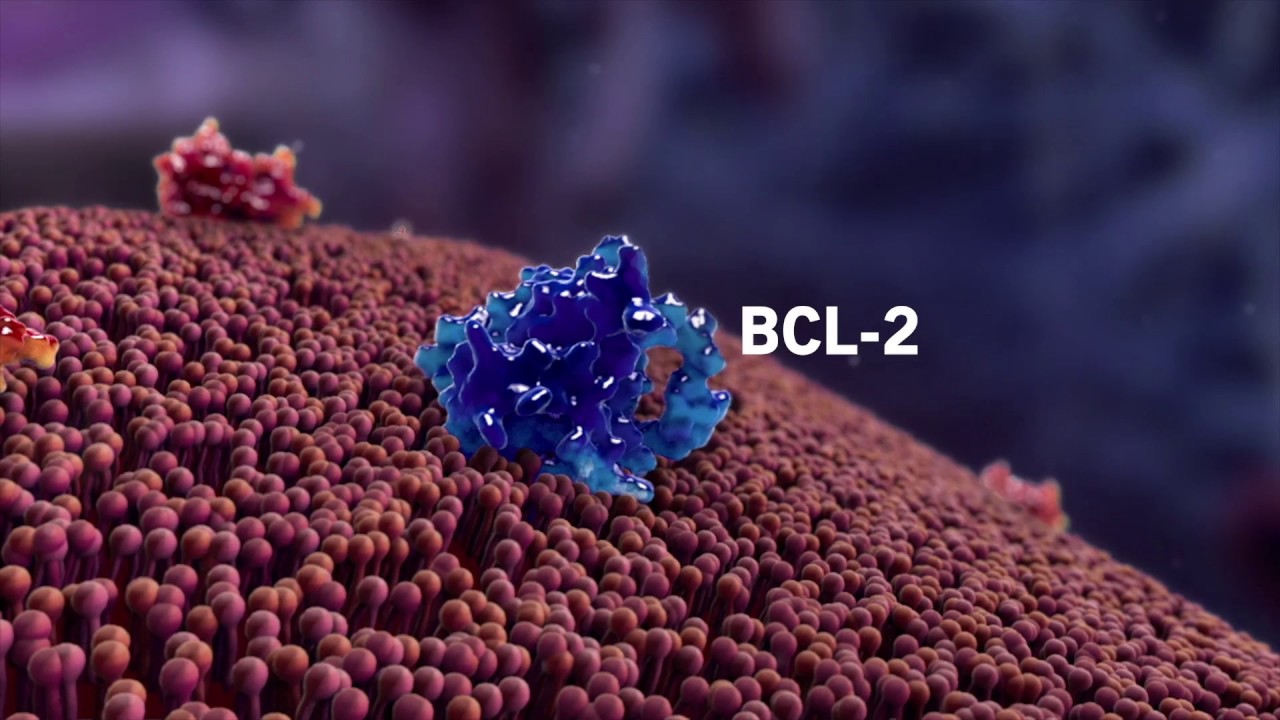 The 20-year journey yielding a new weapon against cancer
