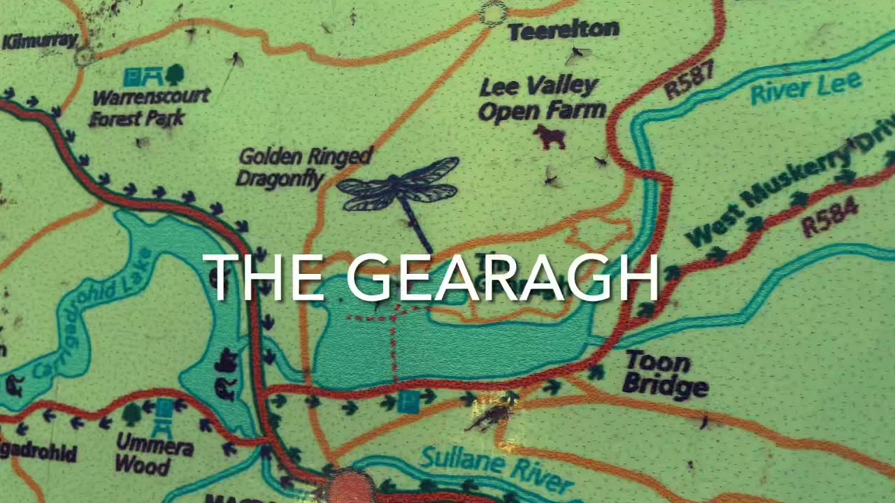 River Lee Series - Exploring The Gearagh, Co. Cork