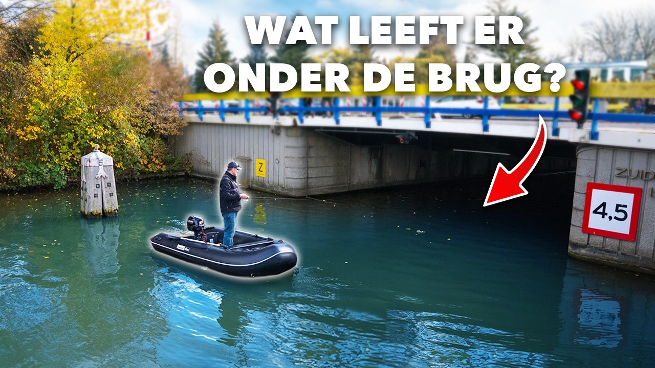 MEGA VEEL SNOEKBAARS VANGEN ONDER DE BRUGGEN IN UTRECHT!