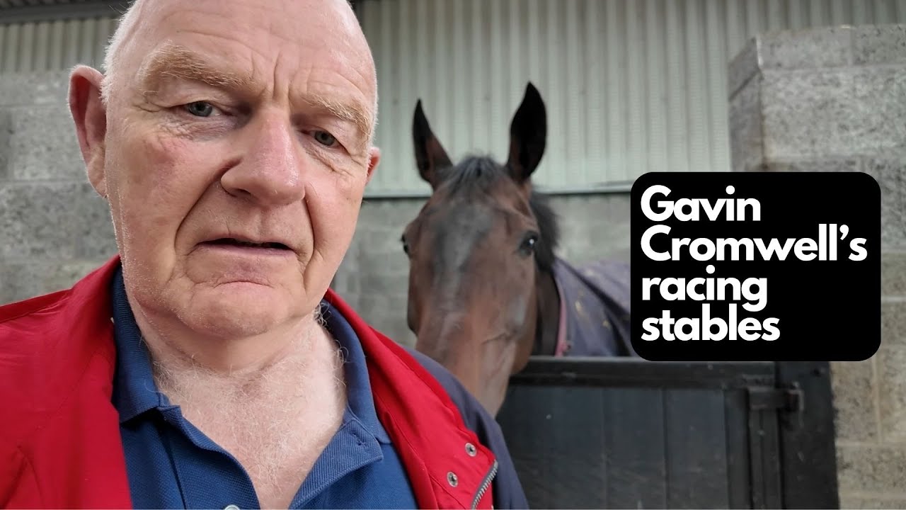 An open morning at Gavin Cromwell's racing stables | Terry Gorry Vlog