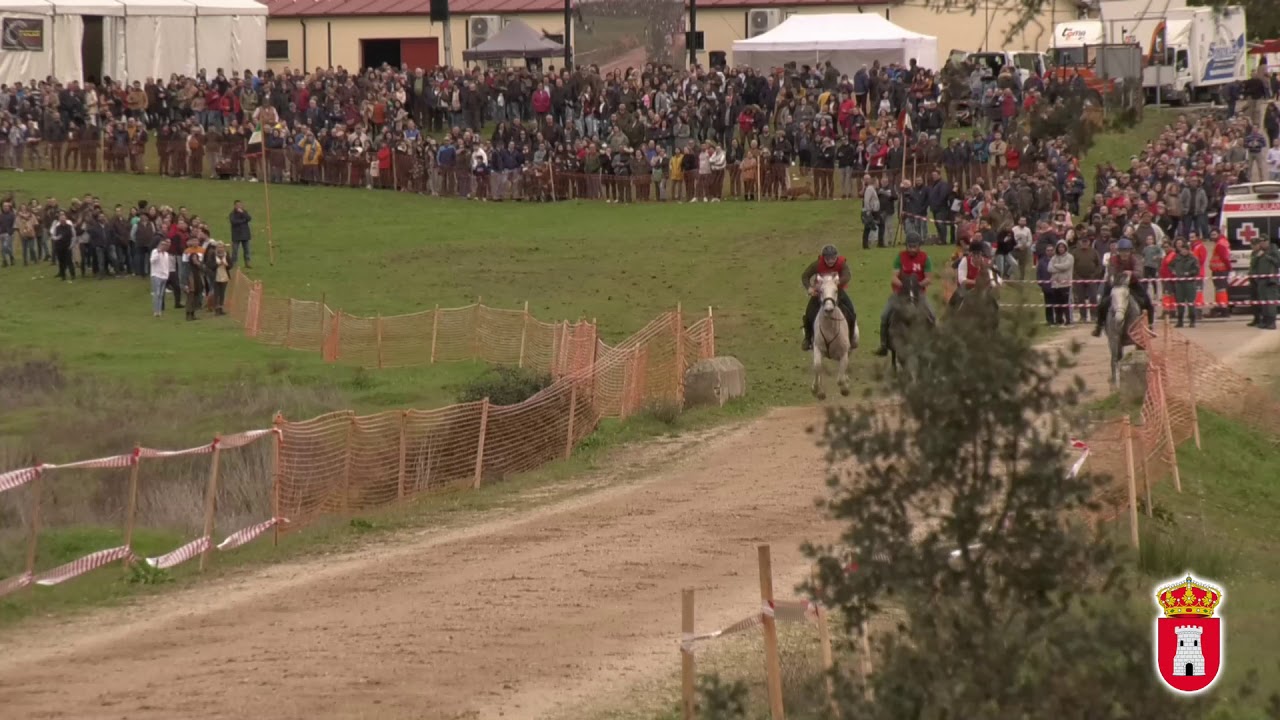 CARRERA DE CABALLOS TORIL 2020 CABALLOS DE LA COMARCA