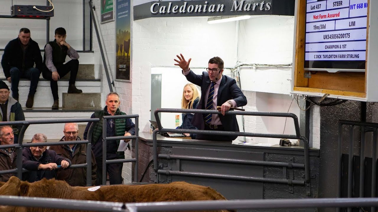 Olly Shearman - Managing director of Caledonian Marts and the competitive business of auctioneering