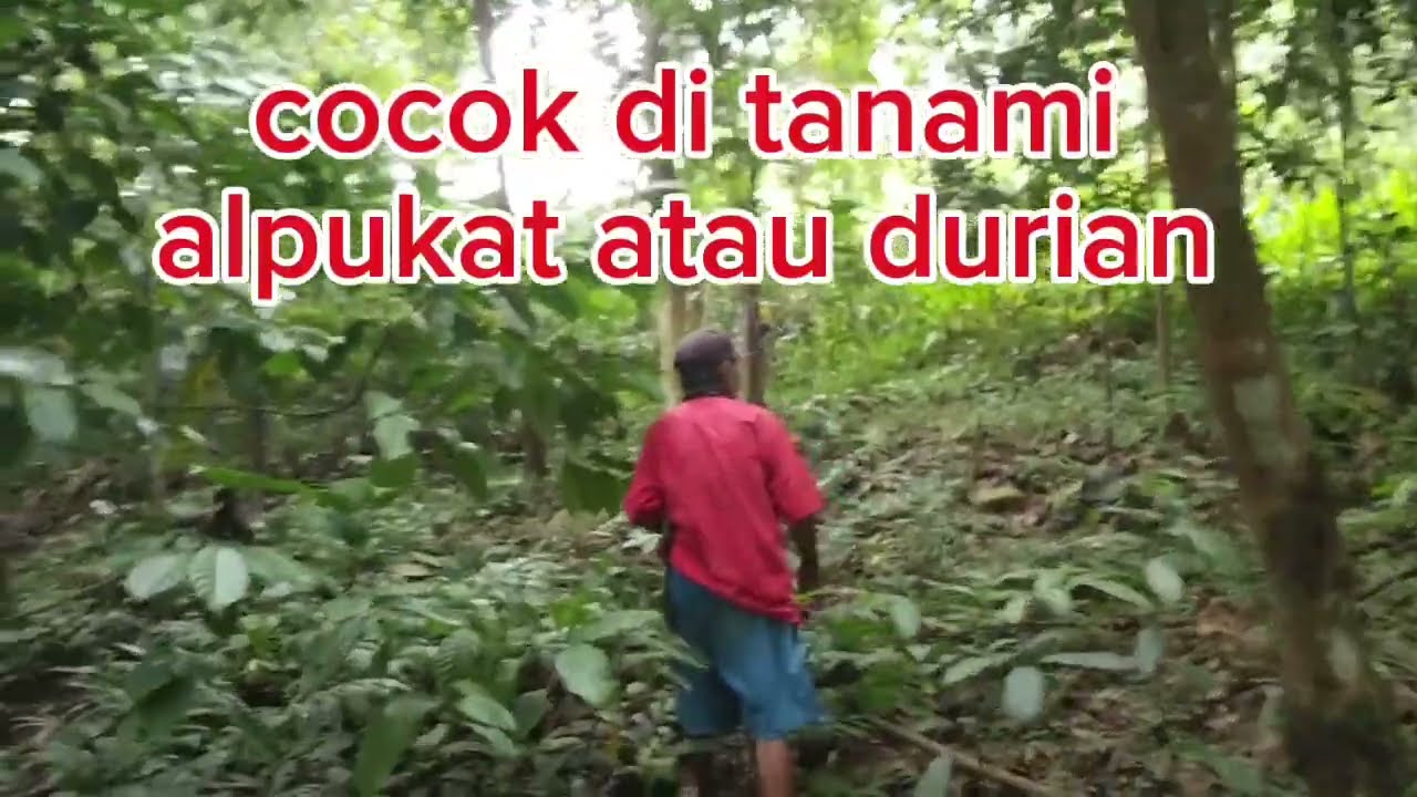 dijual tanah murah luas 1750m²,,cuma 70jt
