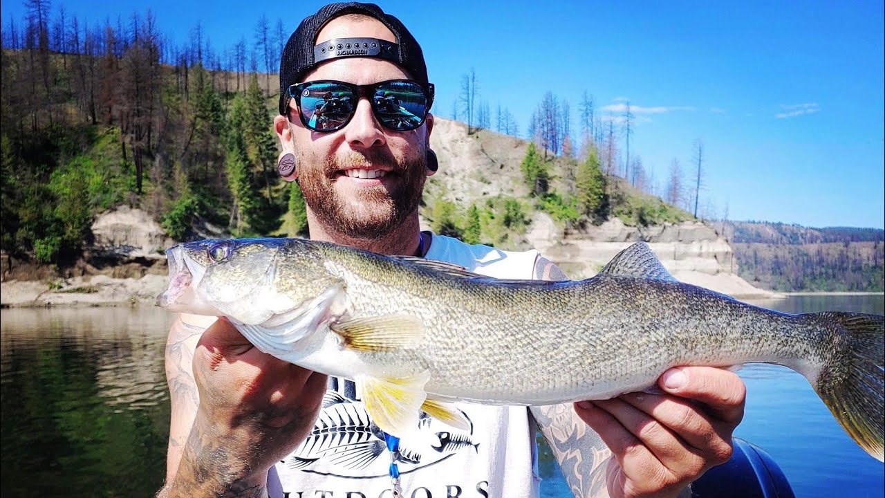 Washington walleye fishing out of porcupine bay, Spokane river arm, lake Roosevelt Clumdog Outdoors
