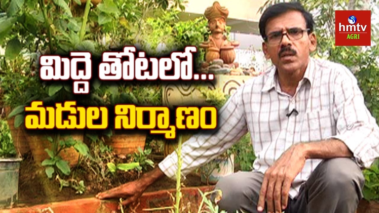 మిద్దె తోటలో బెడ్స్ ఎలా కట్టుకోవాలి? | Terrace Gardening Tips By Raghotham Reddy | hmtv Agri