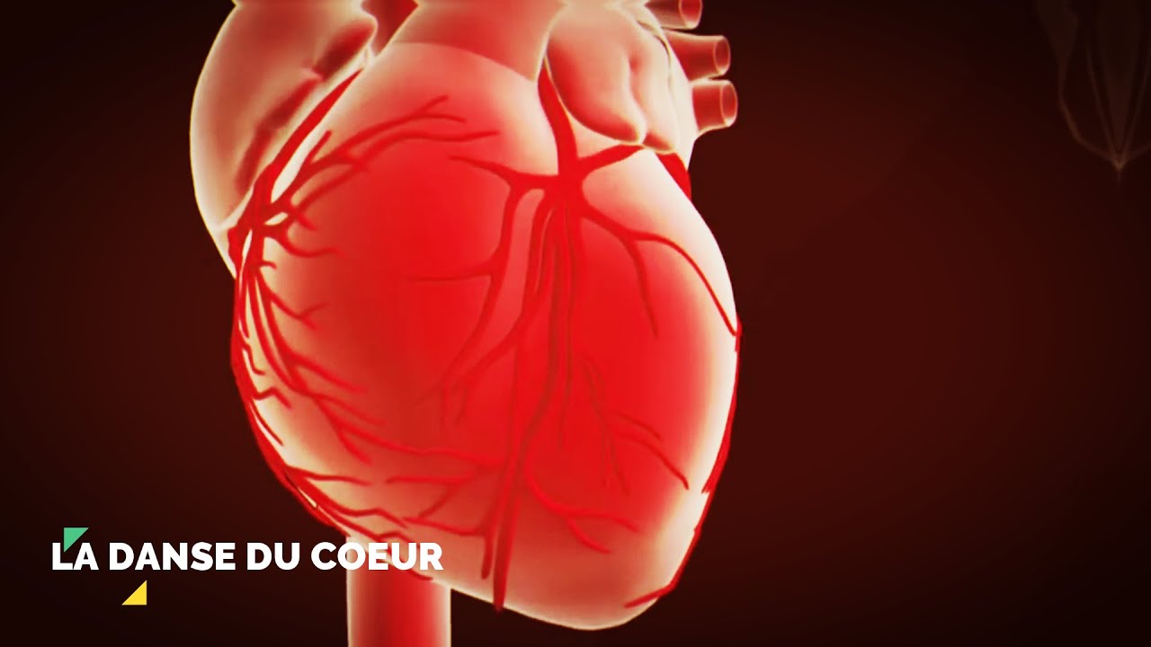 Instrumental DE LA DANSE DU COEUR ,Pas besoin de se lever pour danser, Tu prends, tu donnes