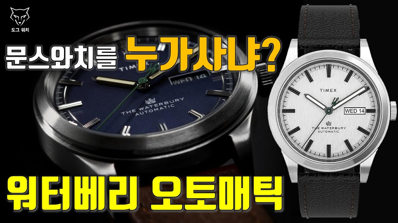 [도그워치 리뷰#97] 문스와치를 왜 사냐?? 차라리 그냥 이거사~타이맥스 워터베리 오토매틱 리뷰! 최고급 타이맥스란?