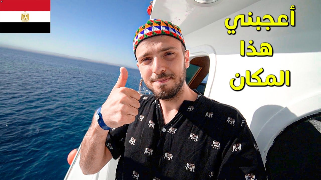 أعجبتني هذي التجربة في مصر 🇪🇬 مرسى علم 🐬
