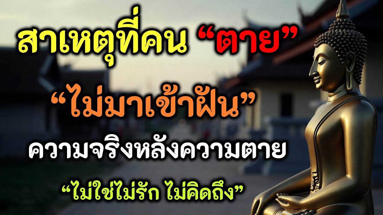 ความจริงหลังความตาย   ทำไมคนที่เรารักไม่มาเข้าฝัน ทั้งที่ยังคิดถึง   ธรรมะคือแสงสว่าง #ธรรมะ
