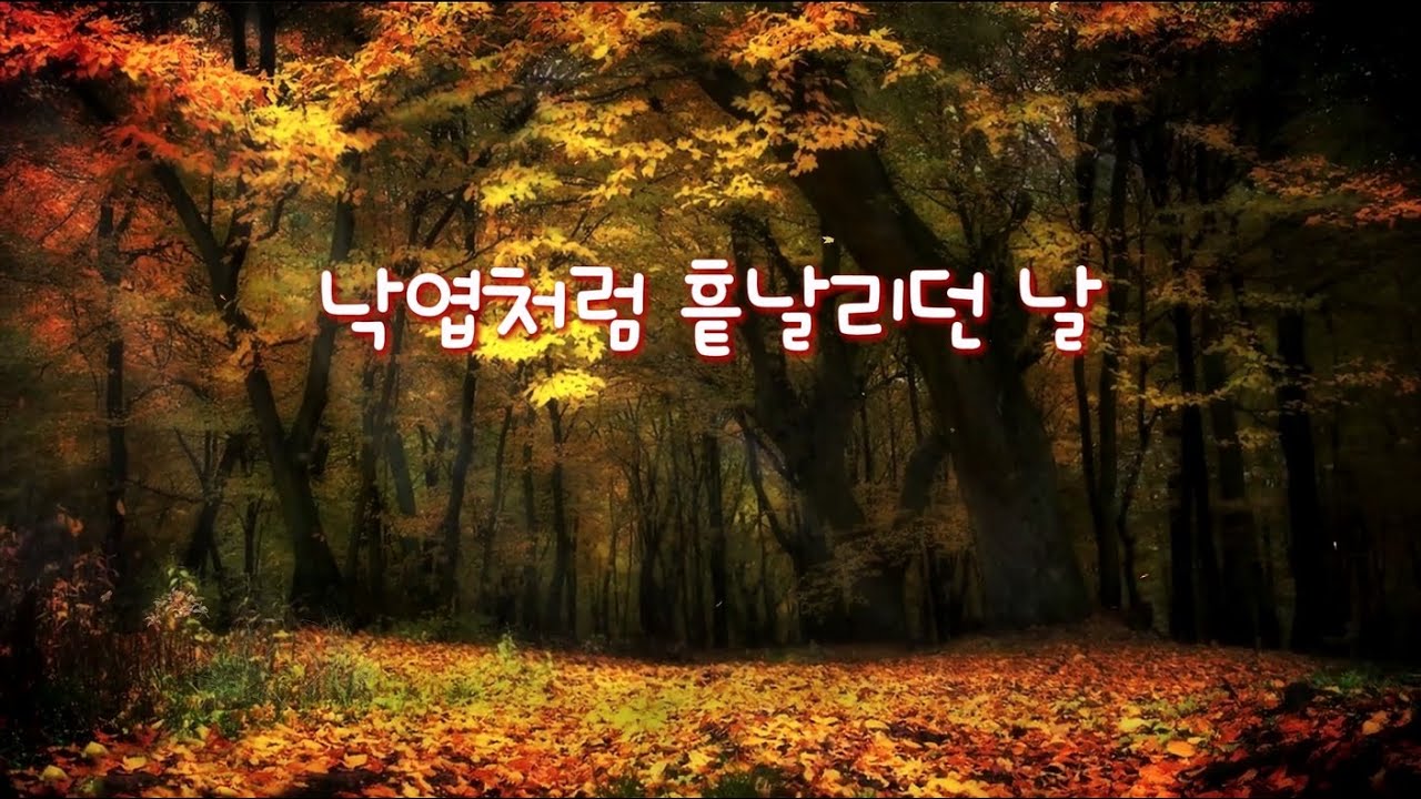 낙엽처럼 흩날리던 날(가을 감성 노래)