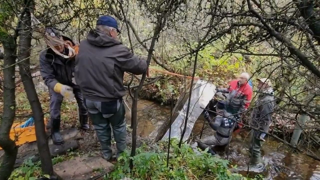 Bregninge Å, Kalundborg Sportsfiskerforening og Grusbanden Fishing Zealand, 2025