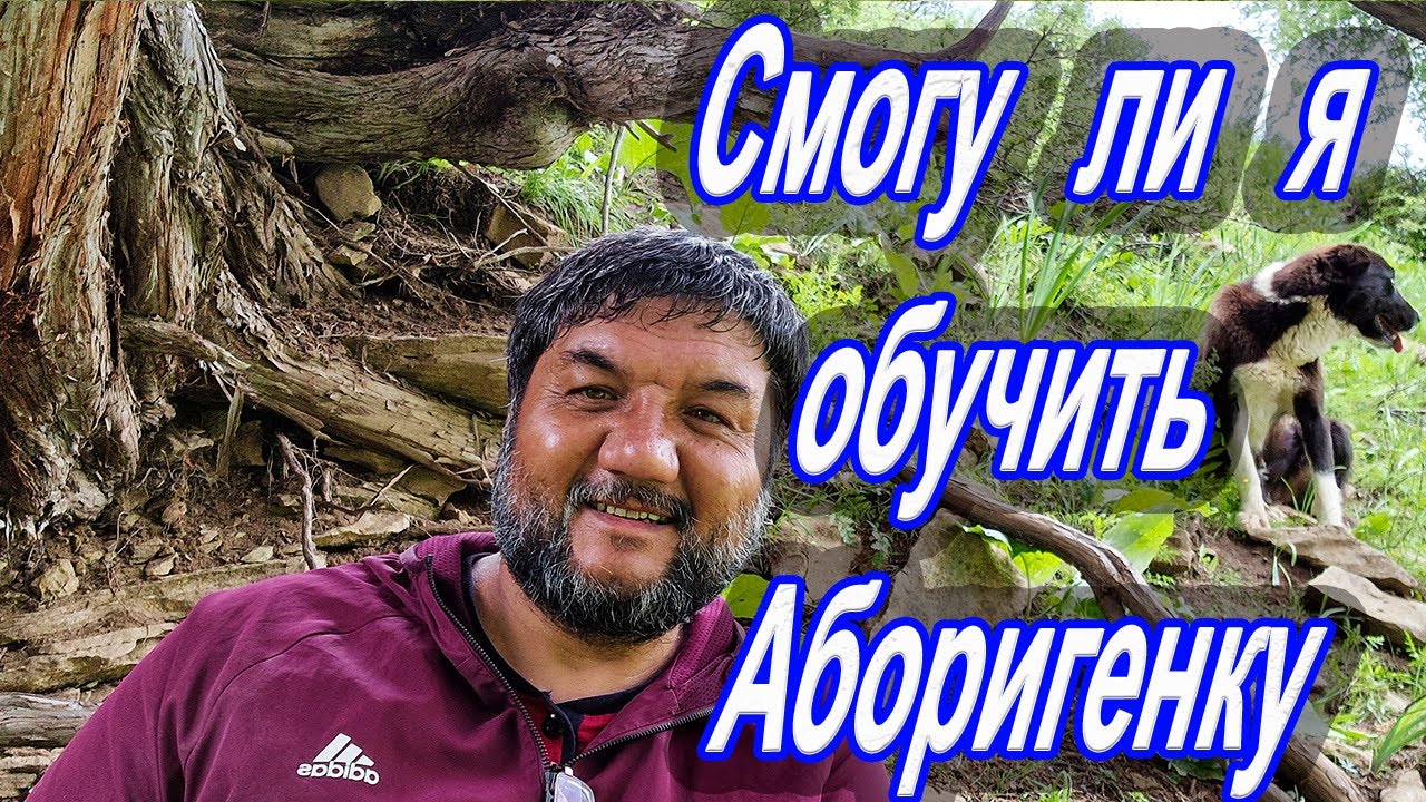 Второй эксперимент с Лалмой, команда Ко мне! Я сделаю из нее ученую собаку.)))