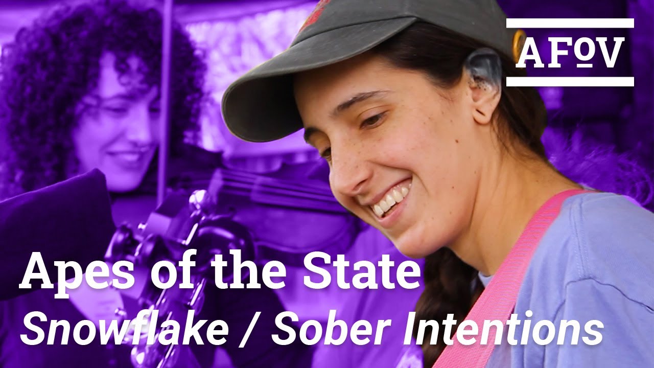 APES OF THE STATE -  Snowflake & Sober Intentions | A Fistful of Vinyl