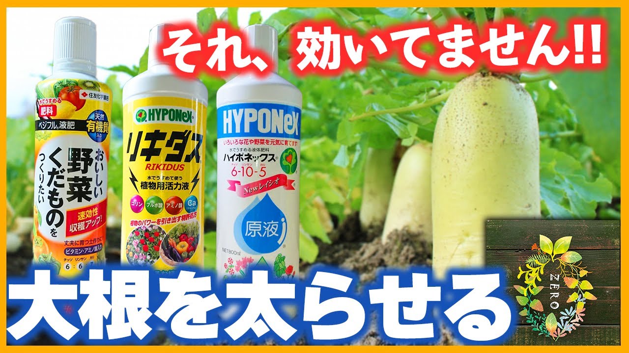 【肥料の比較】大根を太く育てるおすすめの液肥ってどれ？【大根栽培】