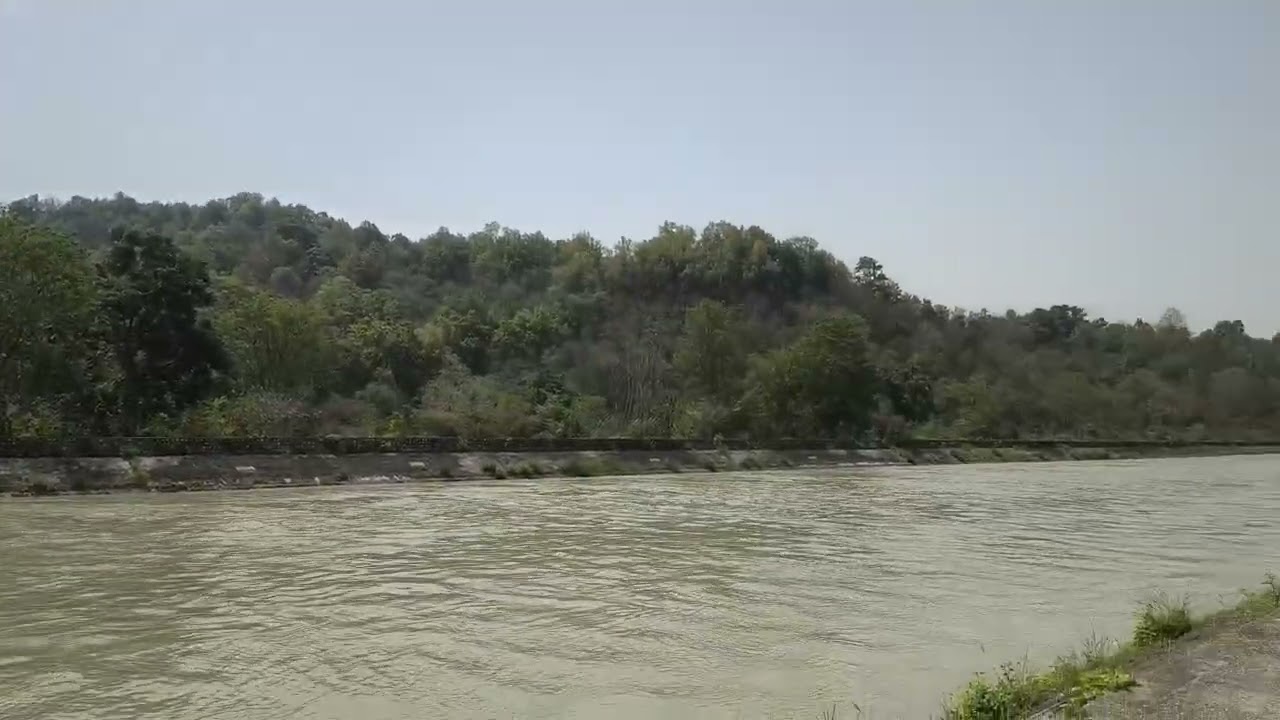 Where the Jungle Meets the Ganga Canal 🌿💧