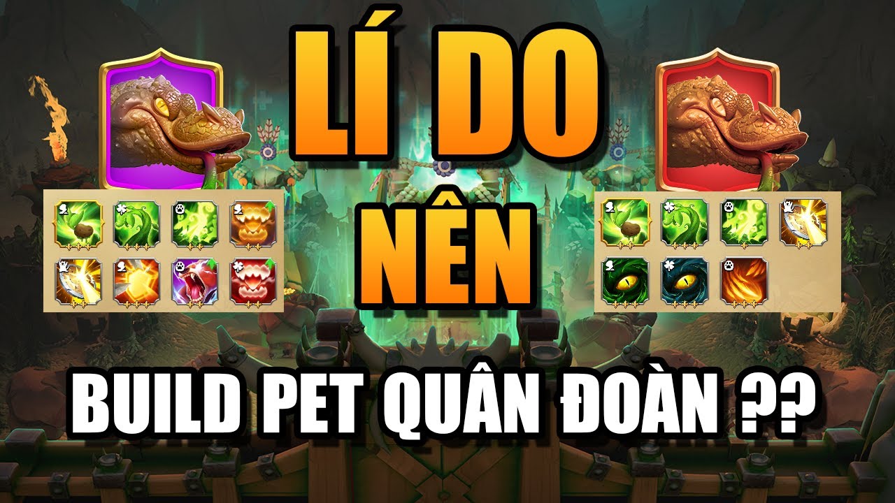 CLIP DUY NHẤT BẠN CẦN XEM ĐỂ HIỂU VỀ CÁCH BUILD PET TRONG CALL OF DRAGON !!