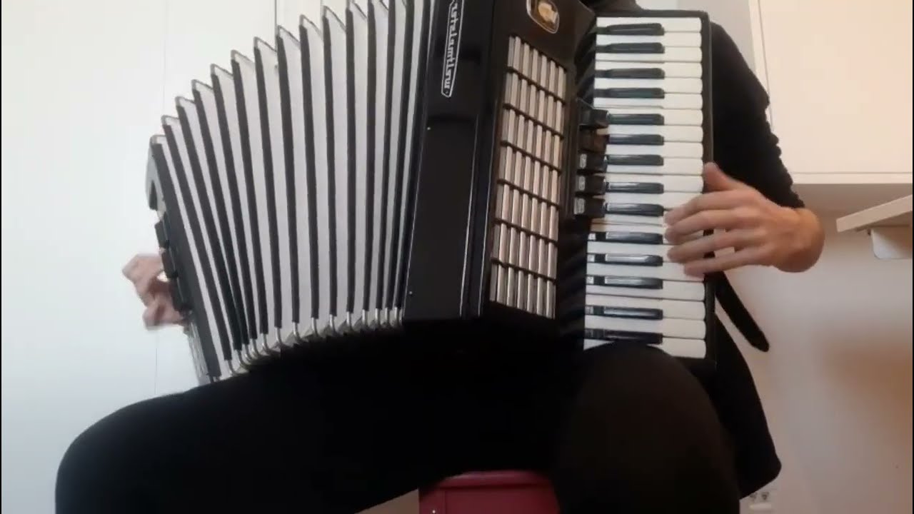 Моя любимая (My Beloved) - Accordion - Russia