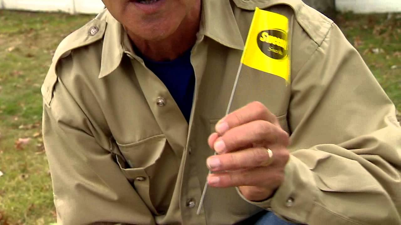 Kill Moles with Sweeney's Poison Moleworms