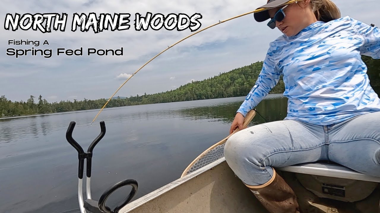 Come Catch Dinner with Me // Solo Fishing a Remote Native Brook Trout Pond // Northern Maine Woods