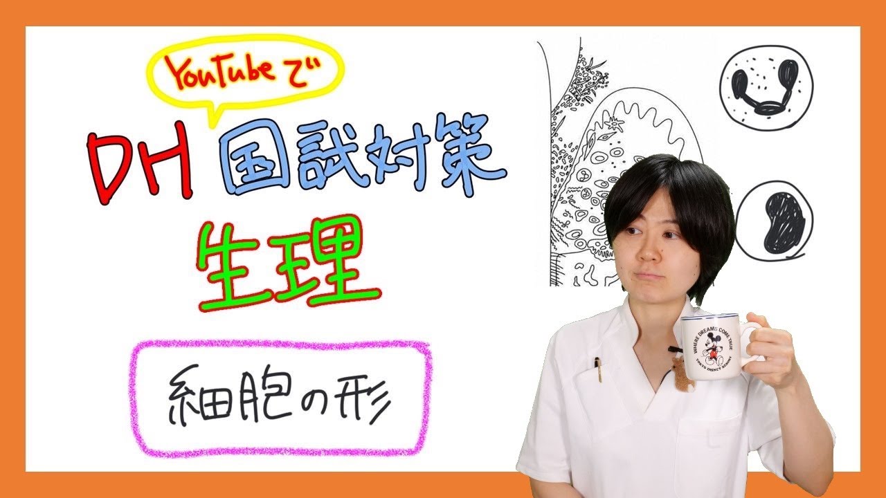 【病理】DH国試対策【2022年 No.25】【細胞の形、炎症】