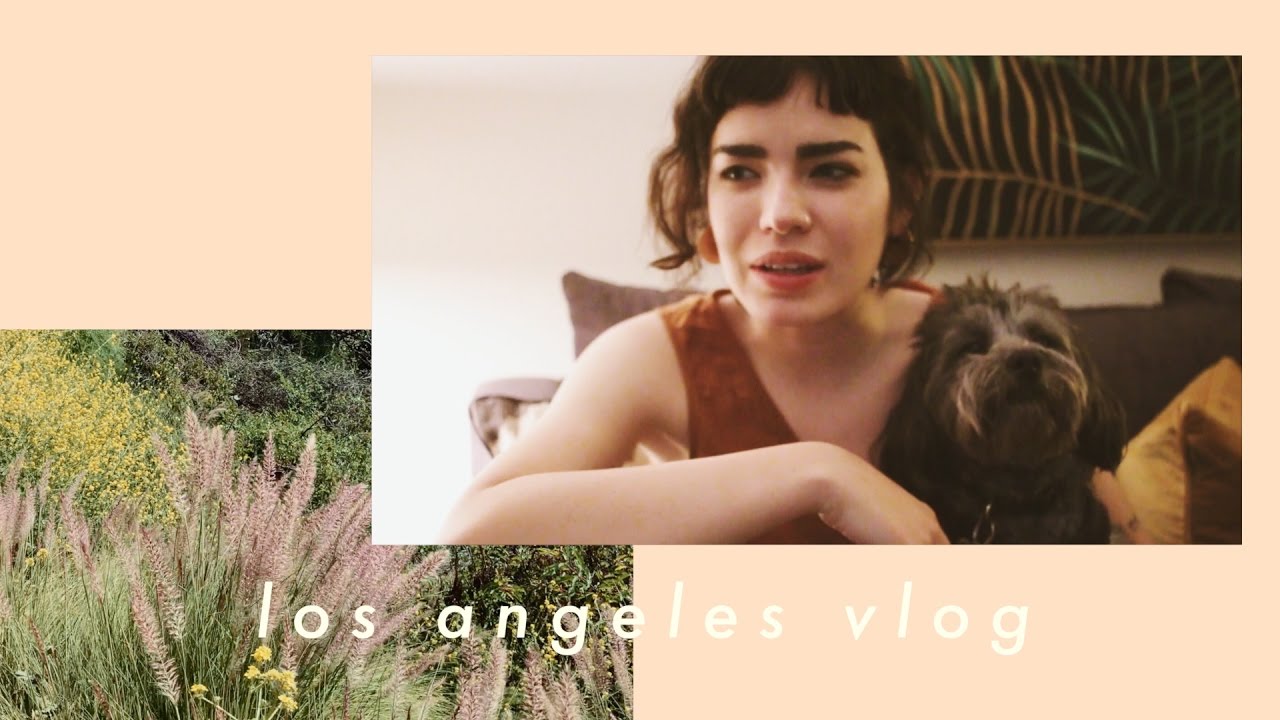 L.A. Vlog • Dog Beach + Sea Lions
