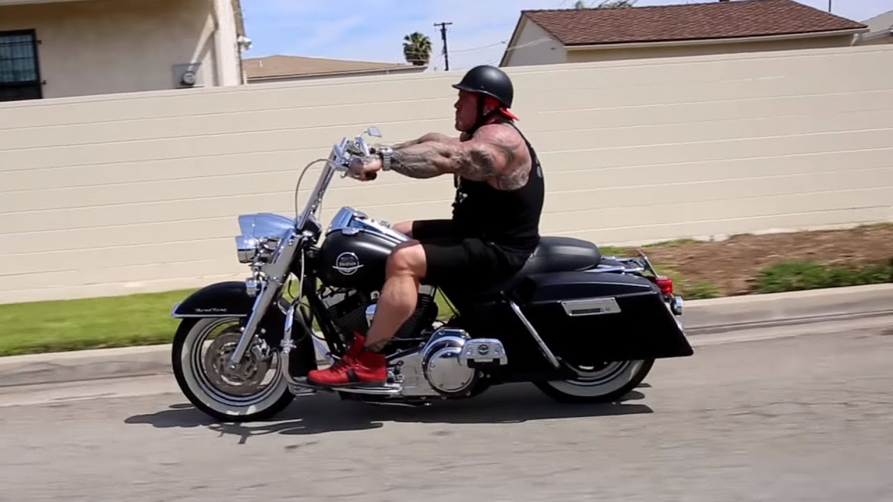 CRUISING ON HARLEY'S - BEAUTIFUL PIT - KILLIN SHOULDERS -  GLOBAL FITNESS
